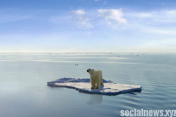 Global Ocean Warming Has Doubled in Recent Decades: Study