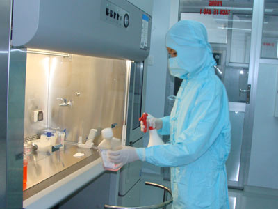 New Way to Preserve Human Stem Cells in the Lab