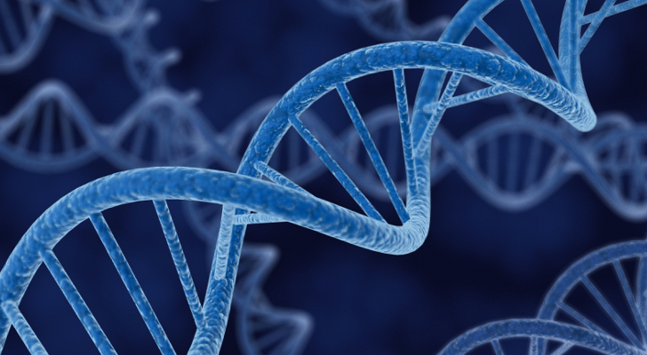 Same Genes Influence Health, Thinking Skills