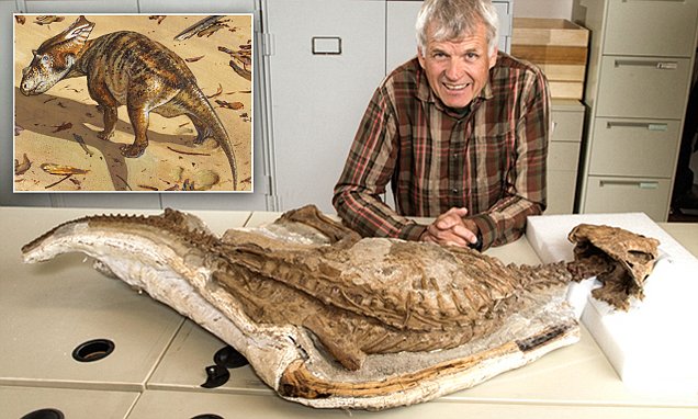 Rare Dinosaur Fossil Fills in Missing Pieces Of Evolution