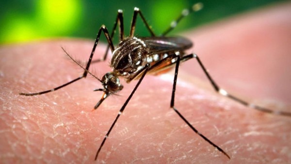 Four Canadians Test Positive for Zika
