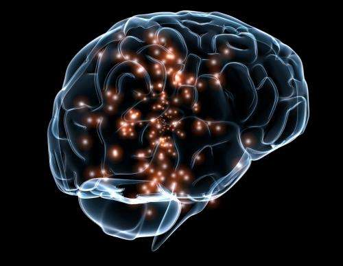 Brain's Memory Capacity 10 Times More Than Thought