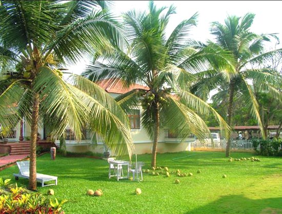 Vested Interests Behind Criticism Of New Coconut Law: Goa BJP