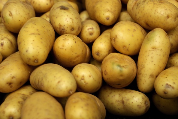 Eating potatoes ups potassium, fiber in kids