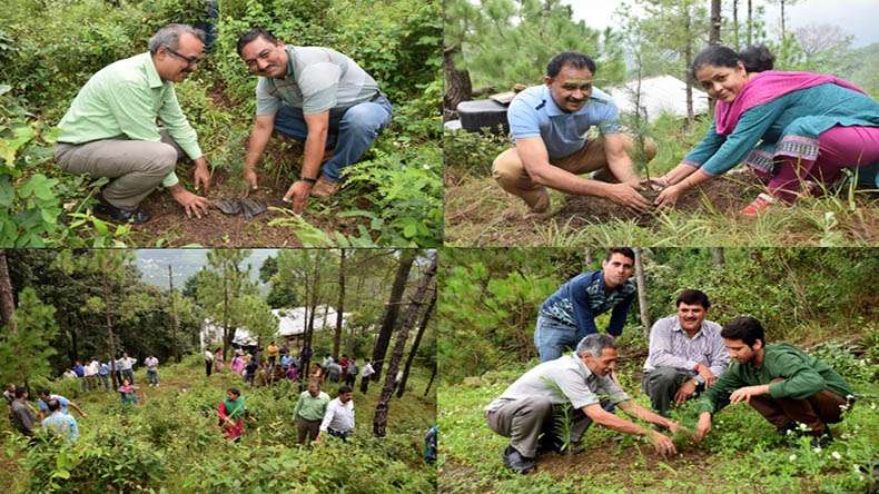 Watershed Project Conserves Himachal's Ecology, Boosts Economy