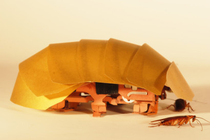 Creepy Cockroach-Inspired Robot Can Squeeze Through Crack