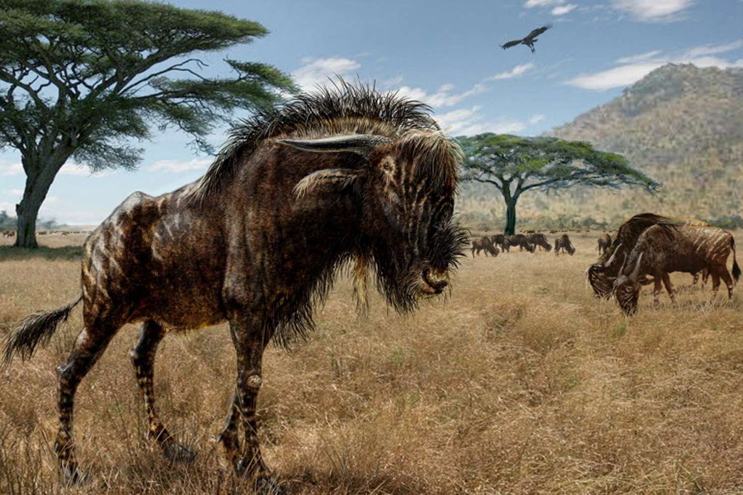 Scientists Find Dinosaur-Like Features in Ancient Mammal