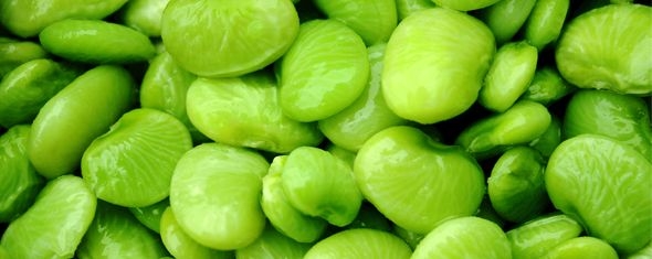 Eating Lima Beans May Boost Longevity