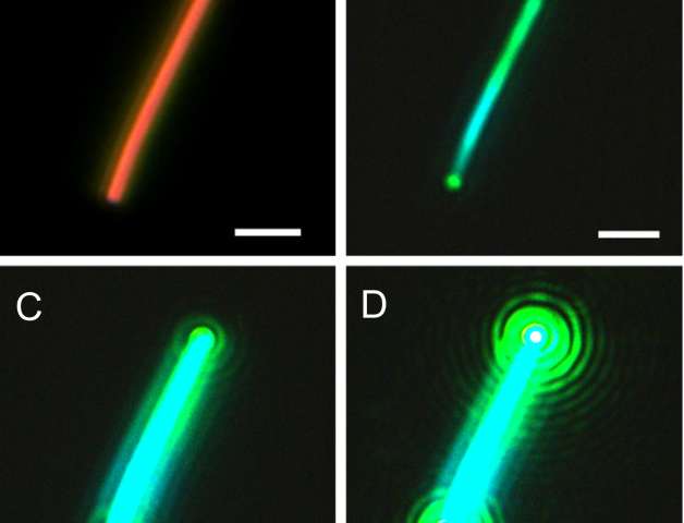 Scientists Find Novel Way to Create Nanowire Lasers