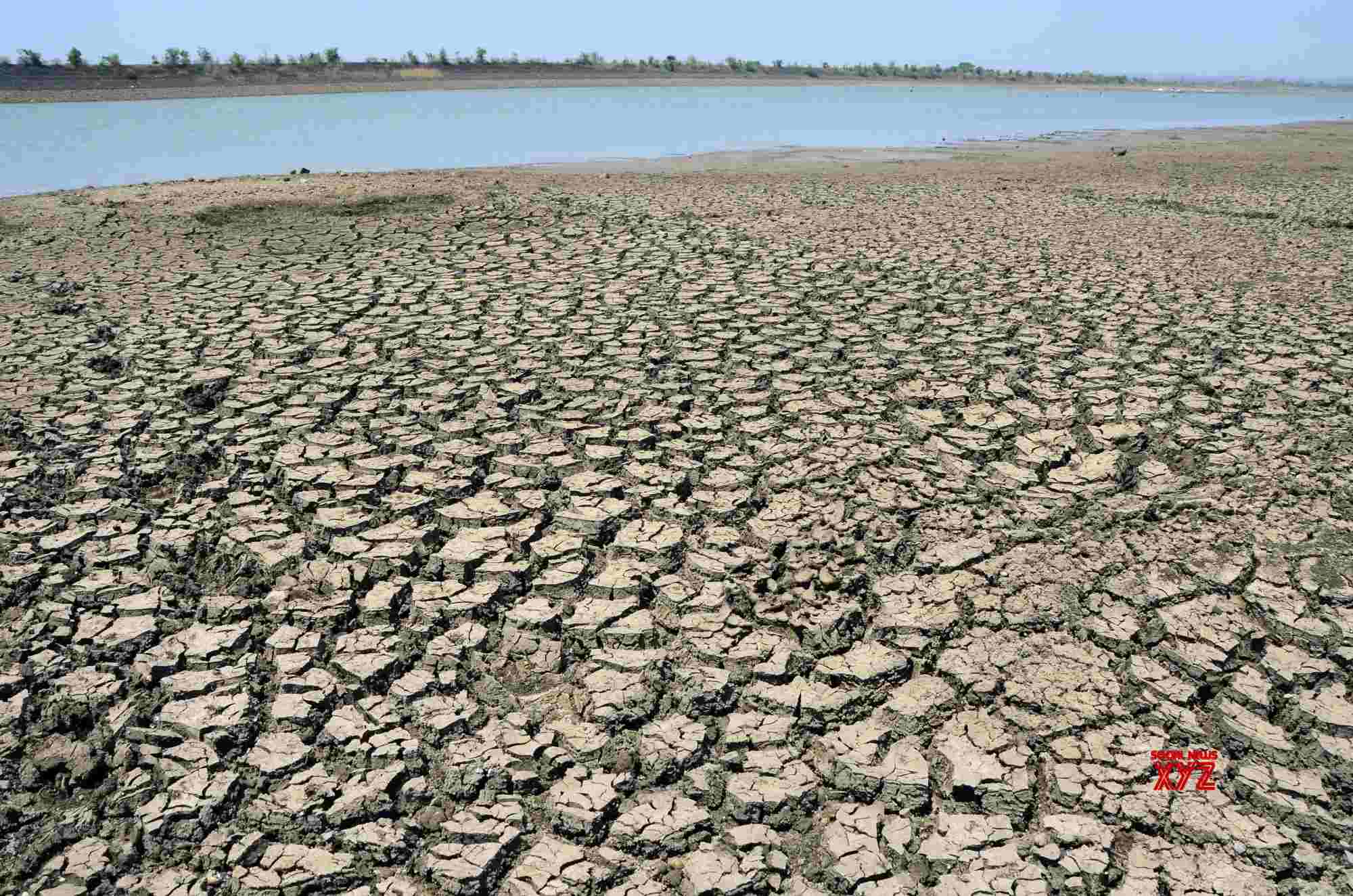 30 Indian cities face water risk within decades: WWF 30 Indian cities face water risk within decades: WWF