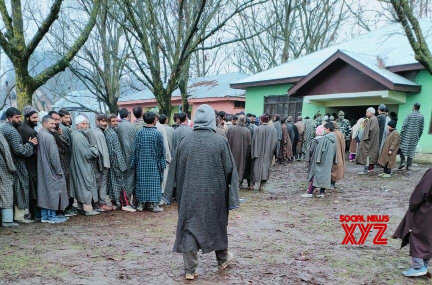 J&K DDC polls: 28.24% votes polled in 7th phase J&K DDC polls: 28.24% votes polled in 7th phase