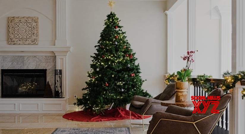 Christmas stars shine bright in Andhra's Godavari Christmas stars shine bright in Andhra's Godavari