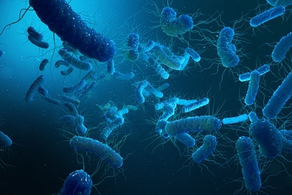 Novel paper-based sensor to detect antimicrobial pollutants Novel paper-based sensor to detect antimicrobial pollutants