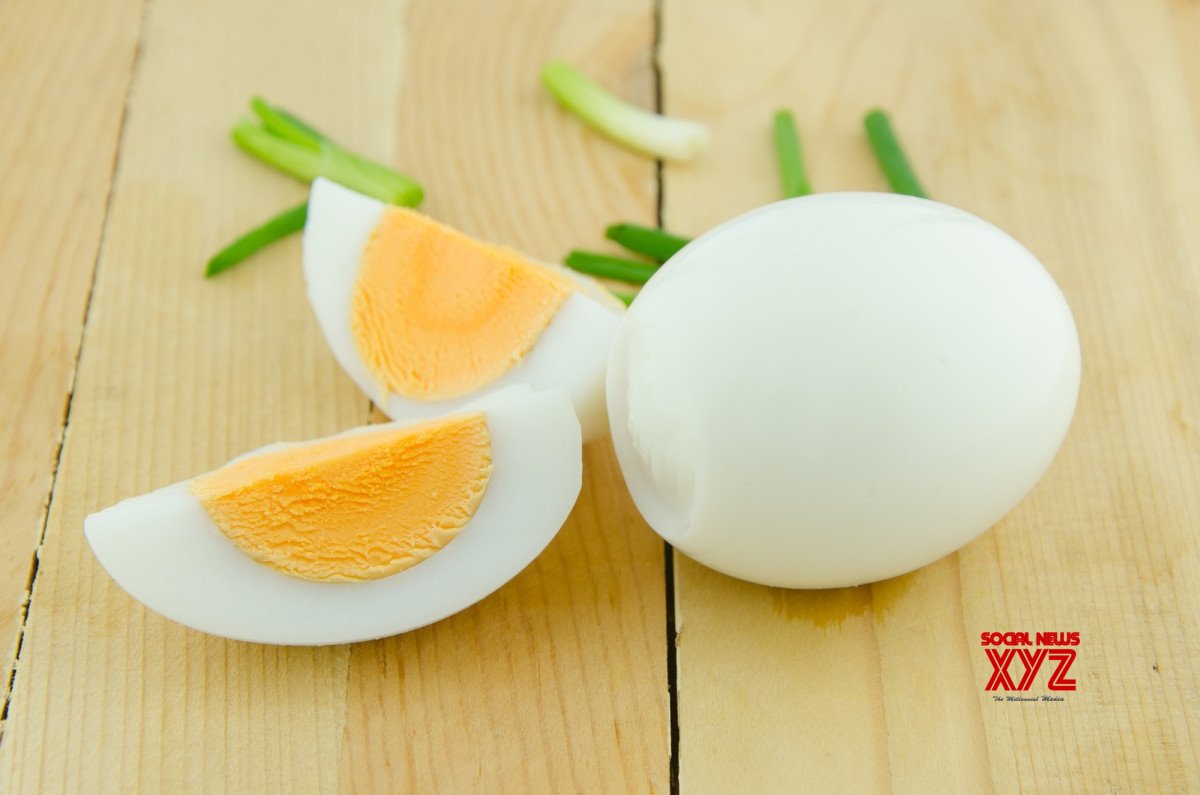 'Kheer' for bear, eggs for ostrich in winter diet 'Kheer' for bear, eggs for ostrich in winter diet