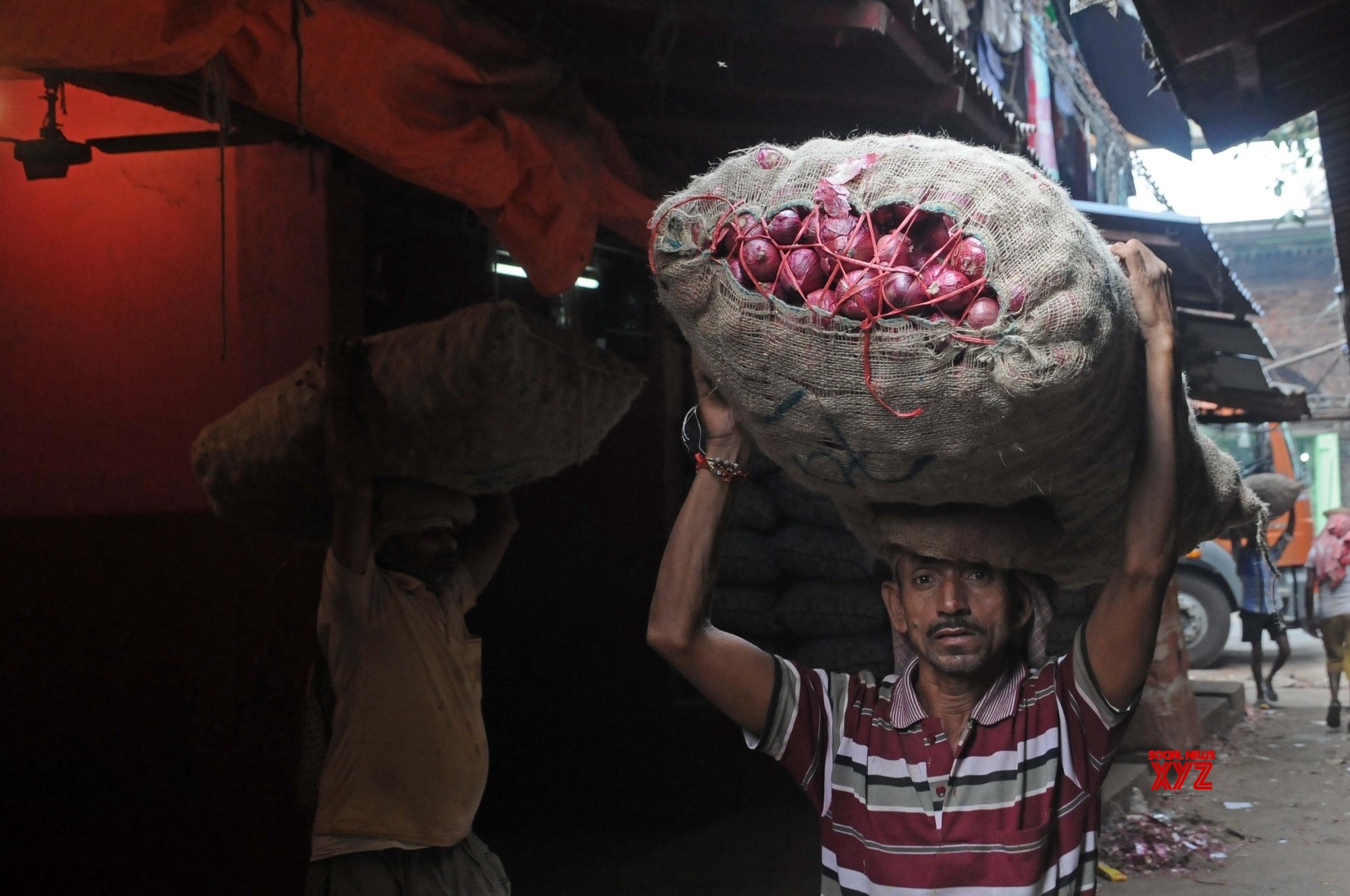 All export restrictions on onions to be removed from Jan 1 All export restrictions on onions to be removed from Jan 1
