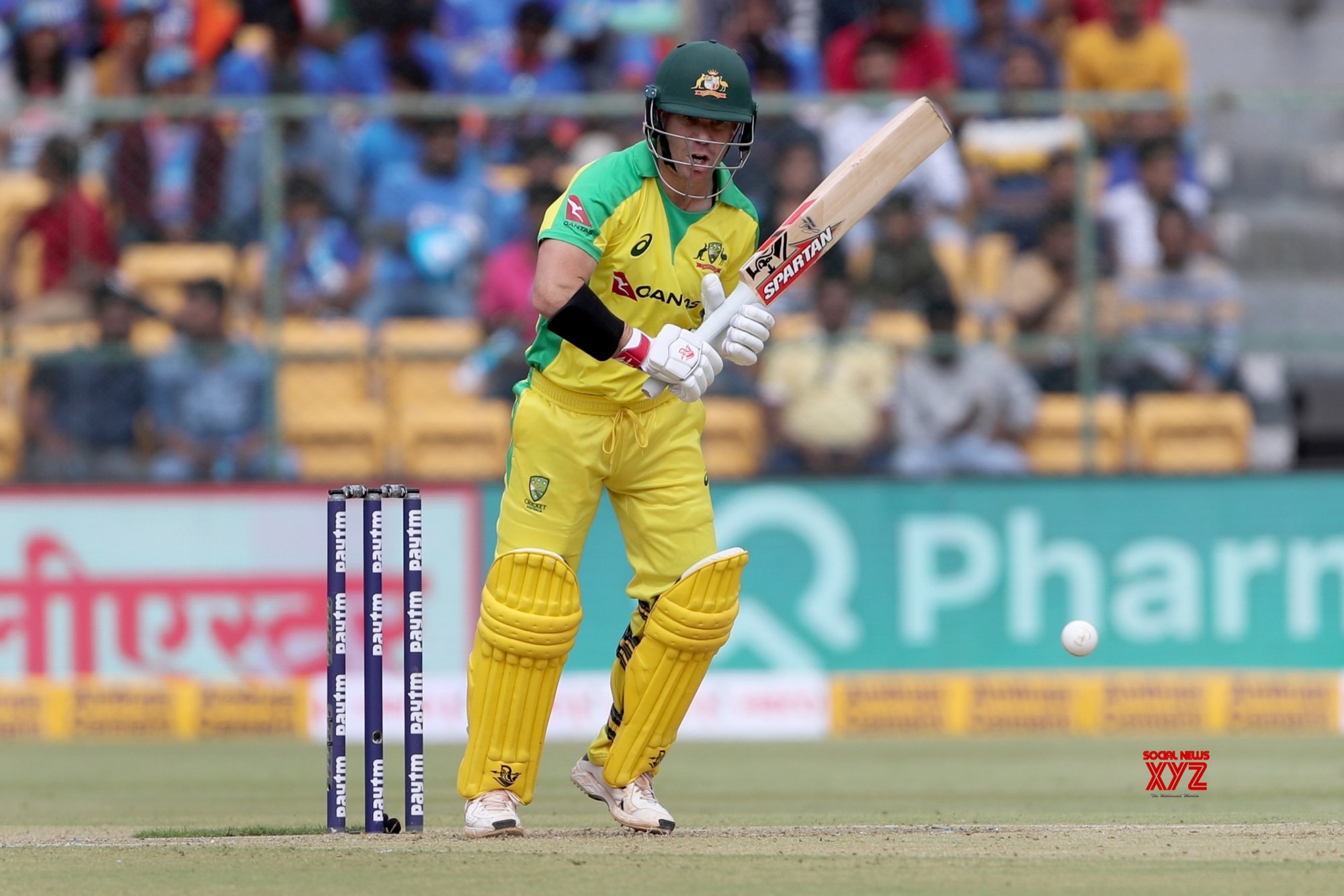 Warner close to getting fit for the third Test, says Paine Warner close to getting fit for the third Test, says Paine