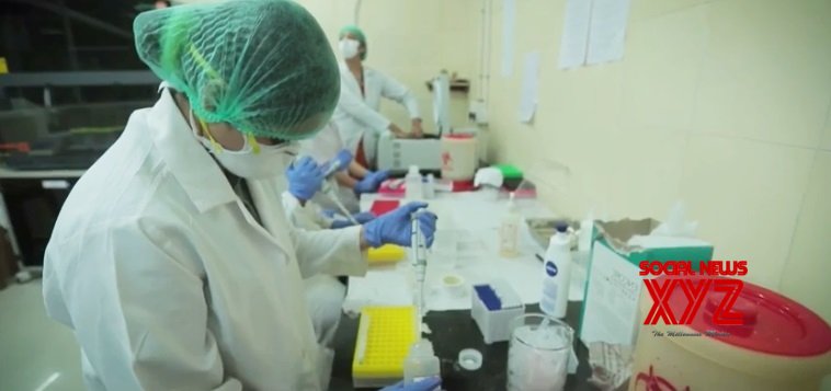 Gujarat sees 655 new Covid cases, four deaths Gujarat sees 655 new Covid cases, four deaths