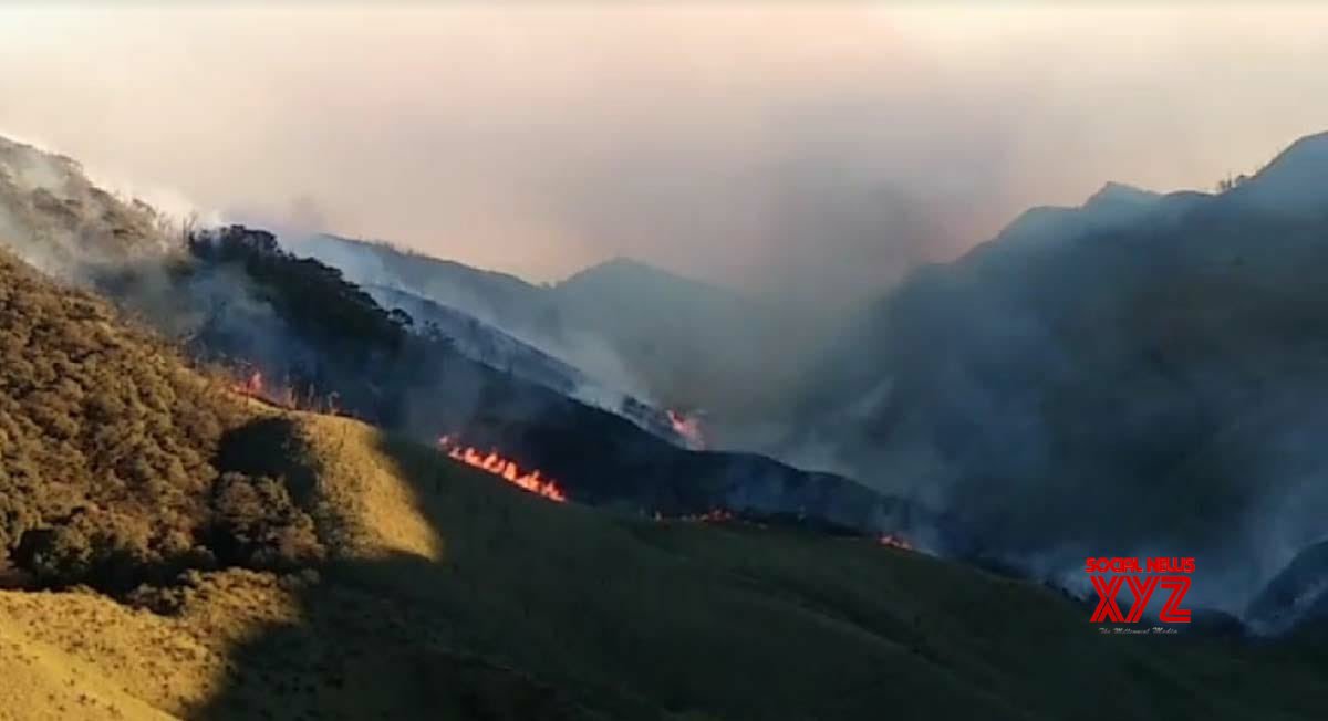 Week-long battle against wildfire continues in Nagaland, Manipur Week-long battle against wildfire continues in Nagaland, Manipur