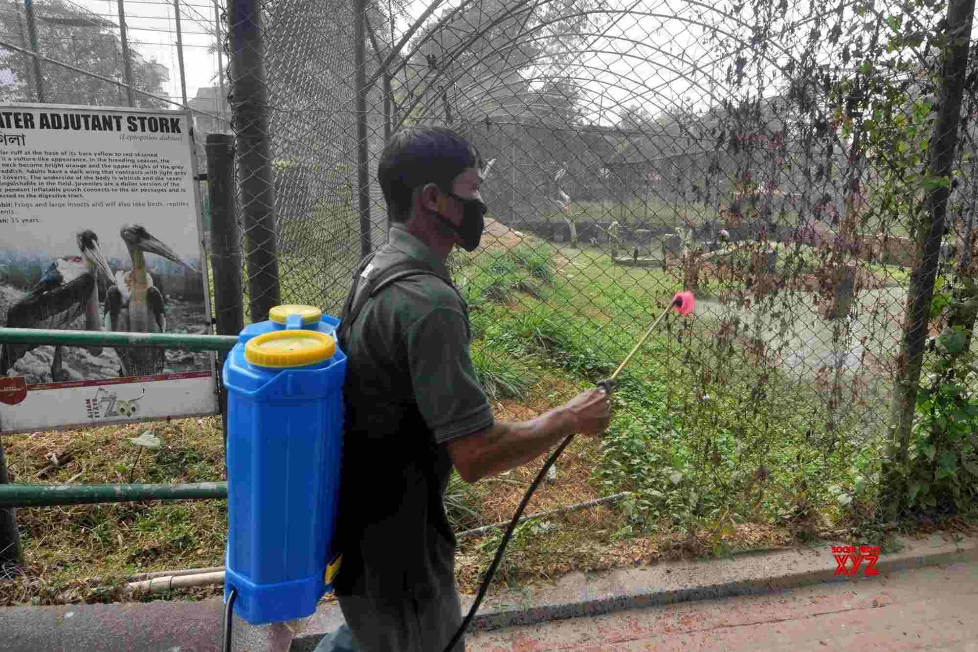 Bird flu scare: Centre asks states, UTs to increase surveillance Bird flu scare: Centre asks states, UTs to increase surveillance