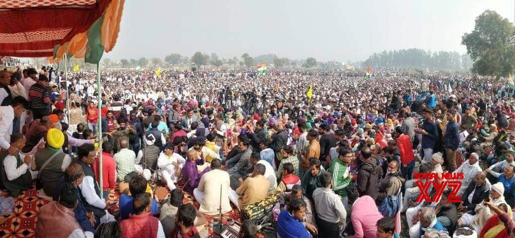 BKU leader quits UP govt panel on farmers BKU leader quits UP govt panel on farmers