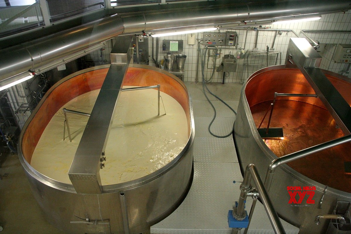 Nine food processing zones to come up in Telangana Nine food processing zones to come up in Telangana
