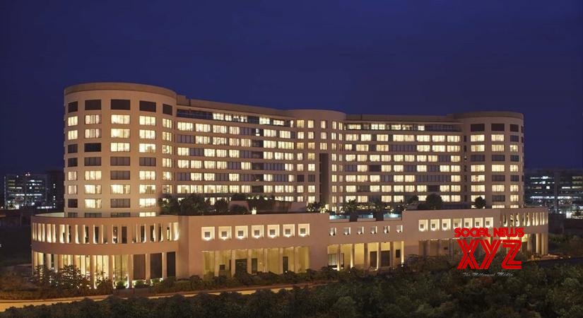 Staycations are the IT vacation Staycations are the IT vacation