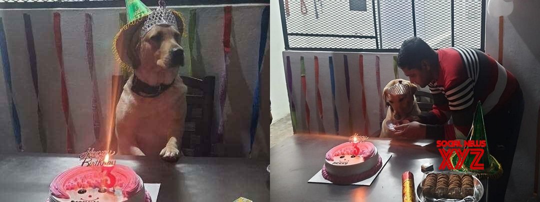 UP Police celebrates sniffer dog's birthday UP Police celebrates sniffer dog's birthday