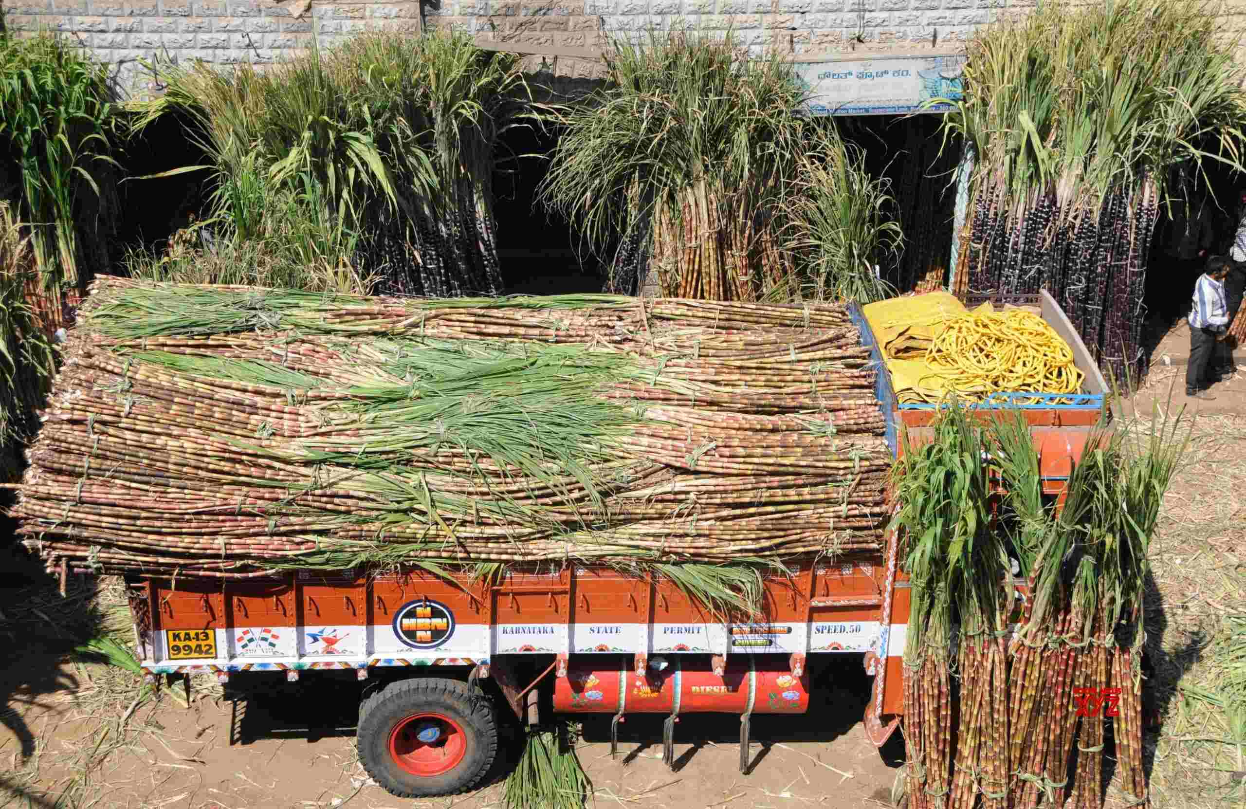 Working with govt to achieve ethanol blending target, says sugar mills body chief Working with govt to achieve ethanol blending target, says sugar mills body chief