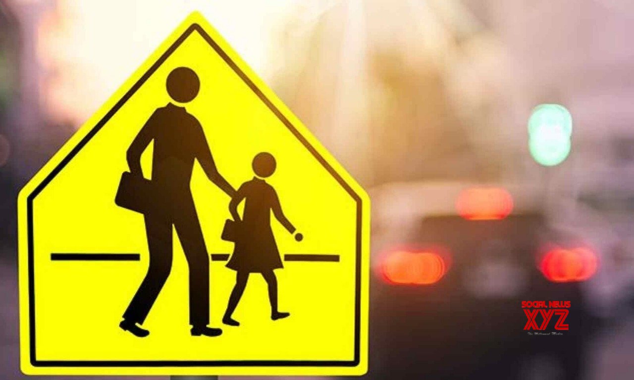 Enforcement & education is key rather than airbags, says IRF experts on road safety Enforcement & education is key rather than airbags, says IRF experts on road safety