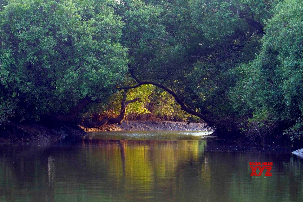 New index ranks rainforests' vulnerability to climate, human impact New index ranks rainforests' vulnerability to climate, human impact