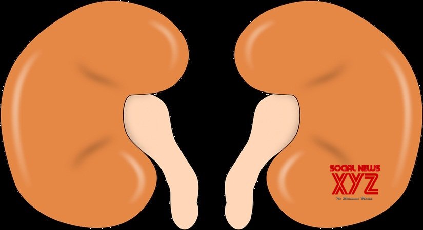 3-yr-old Omani girl successfully undergoes liver, kidney transplant 3-yr-old Omani girl successfully undergoes liver, kidney transplant