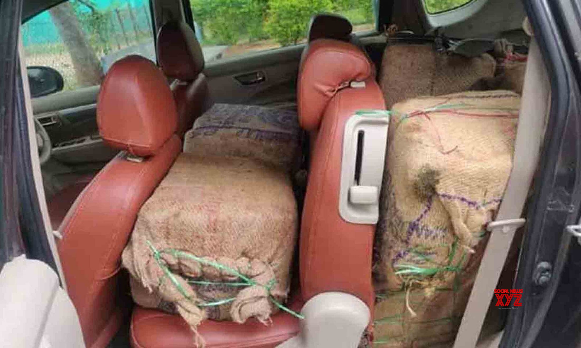 Bengaluru police bust Andhra based network, seize 141 kgs of marijuana Bengaluru police bust Andhra based network, seize 141 kgs of marijuana