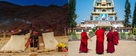 Blood parameters alter with altitude change, finds CCMB study on Tibetan migrants Blood parameters alter with altitude change, finds CCMB study on Tibetan migrants