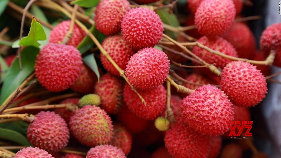 Bihar's Shahi Litchi exported to the UK Bihar's Shahi Litchi exported to the UK