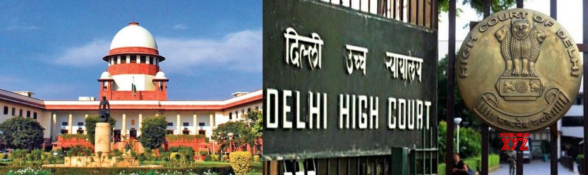 SC stays Delhi HC order holding stray, street dogs have right to food SC stays Delhi HC order holding stray, street dogs have right to food