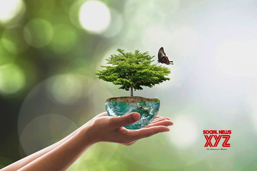 UN to commemorate 50 years of multilateral environmental action UN to commemorate 50 years of multilateral environmental action