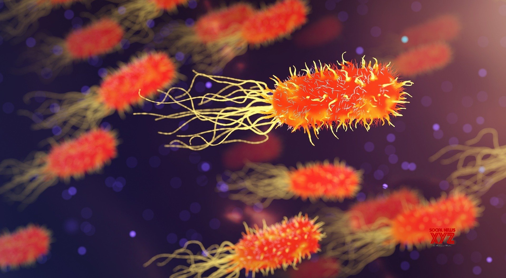 New drug can reduce bacteria's ability to develop antibiotic resistance New drug can reduce bacteria's ability to develop antibiotic resistance