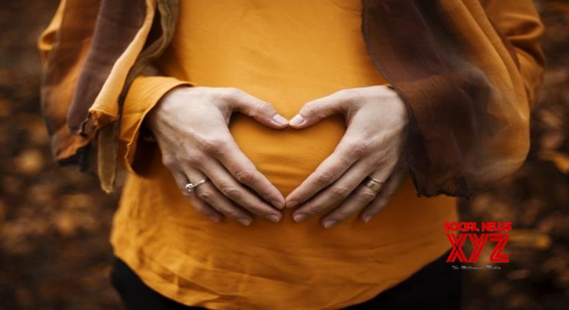 Study finds no reason to delay Covid vaccination during pregnancy Study finds no reason to delay Covid vaccination during pregnancy