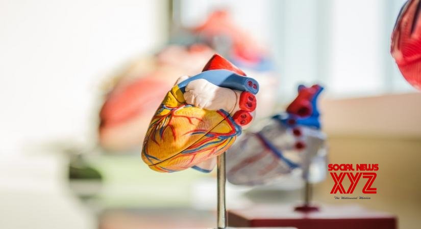 Heart-related test may indicate death risk in Covid patients Heart-related test may indicate death risk in Covid patients