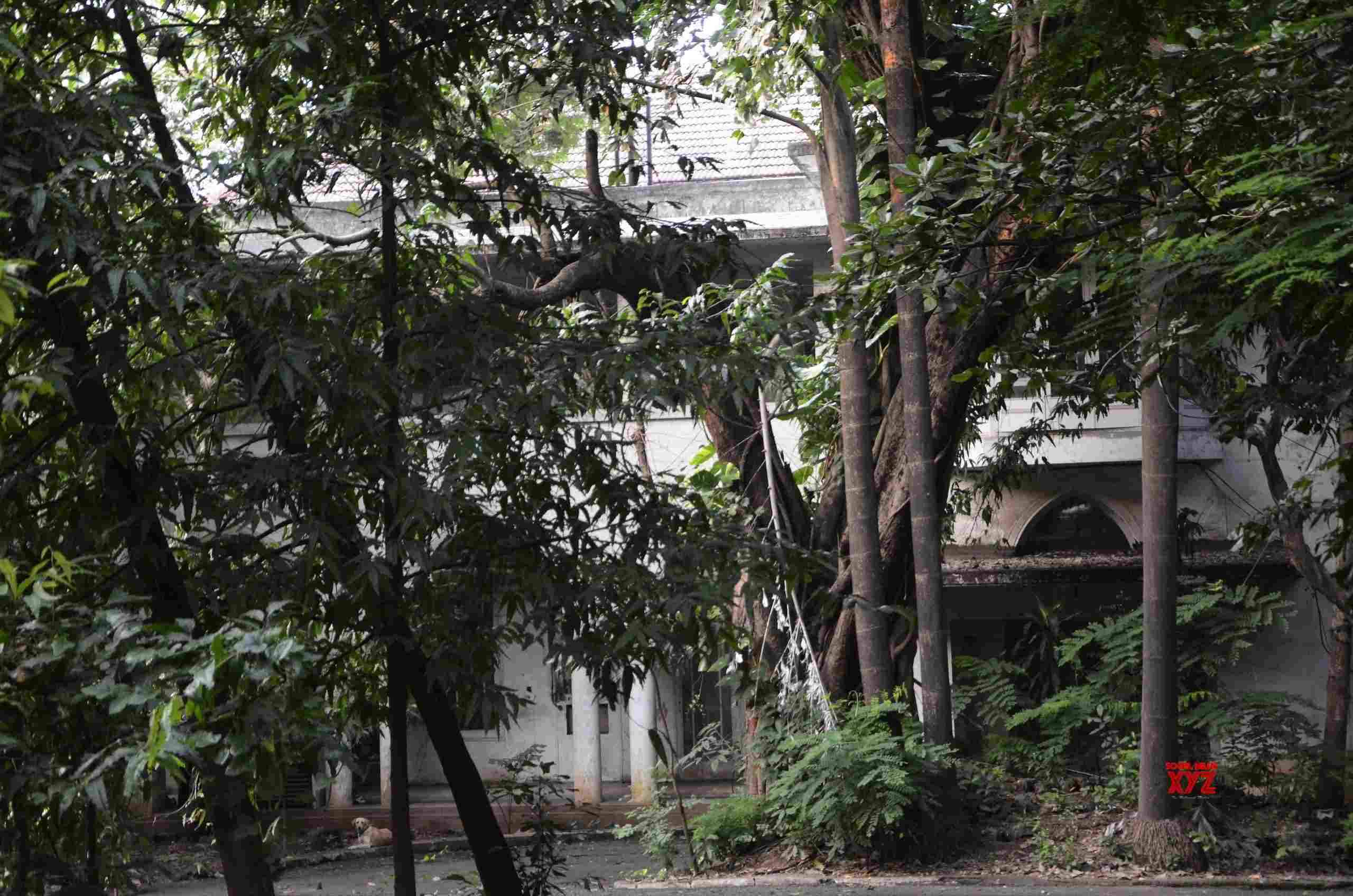 Convert Jinnah House into cultural centre: Mumbai BJP to Shah Convert Jinnah House into cultural centre: Mumbai BJP to Shah