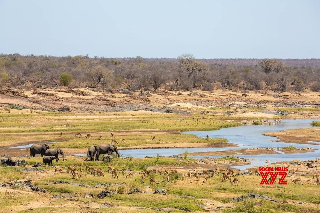 S.Africa tourism shows signs of recovery S.Africa tourism shows signs of recovery