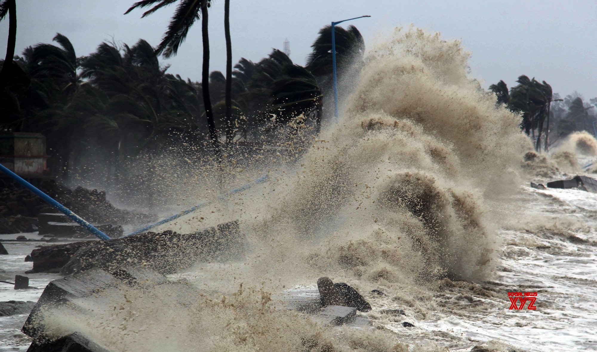 Need mitigative steps to save livestock from cyclones: Experts Need mitigative steps to save livestock from cyclones: Experts