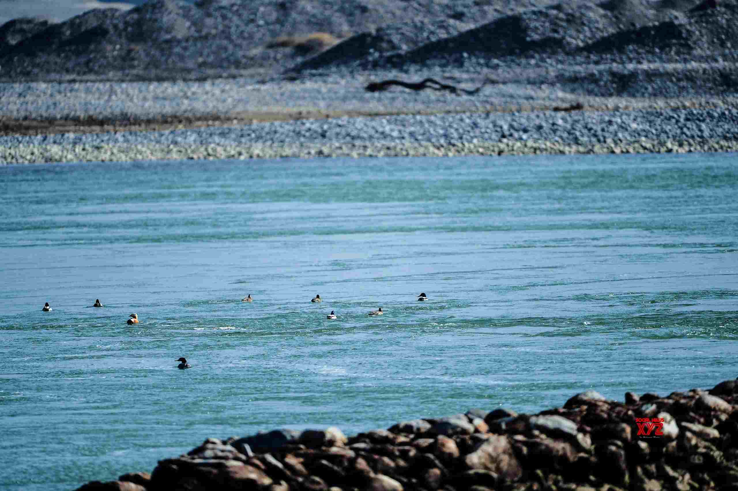 5-yr fishing ban begins in parts of China's Yellow River 5-yr fishing ban begins in parts of China's Yellow River