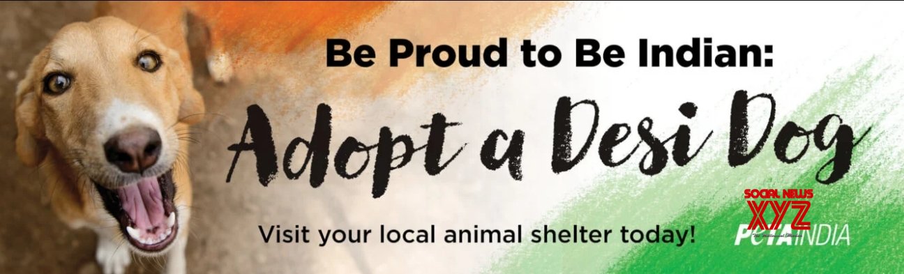 PETA India's campaign for adopting Indian dogs PETA India's campaign for adopting Indian dogs