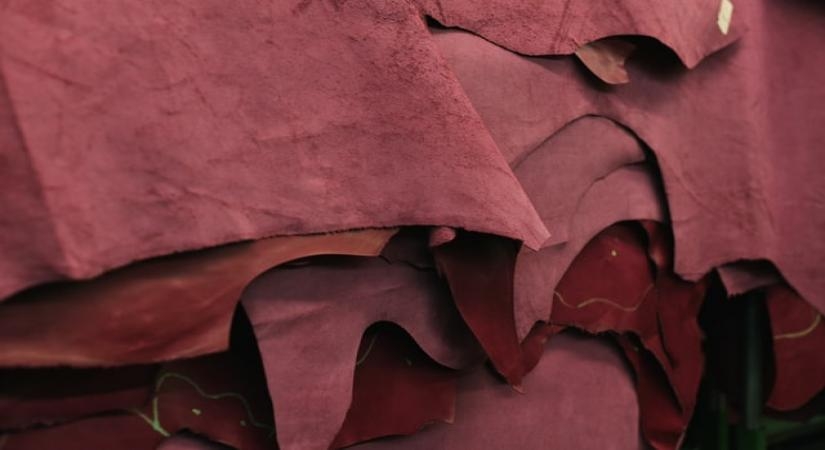 India should aim to achieve over $10 bn leather exports by 2025: Goyal India should aim to achieve over $10 bn leather exports by 2025: Goyal
