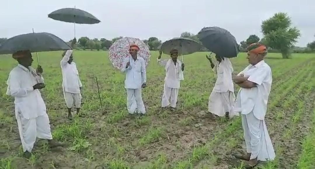 It rains when farmers sing Tejaji songs in Raj; Cambridge to pursue research It rains when farmers sing Tejaji songs in Raj; Cambridge to pursue research