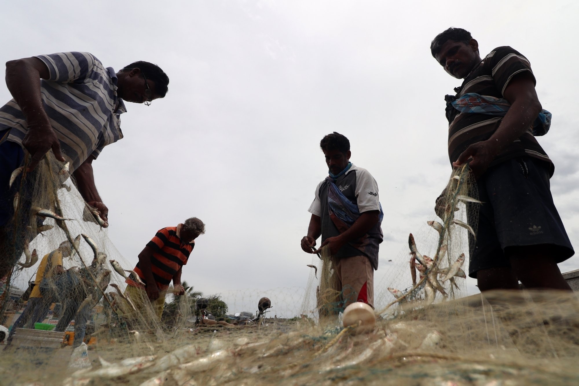 TN fishermen protest against Sri Lankan navy chasing fishers, destroying nets TN fishermen protest against Sri Lankan navy chasing fishers, destroying nets