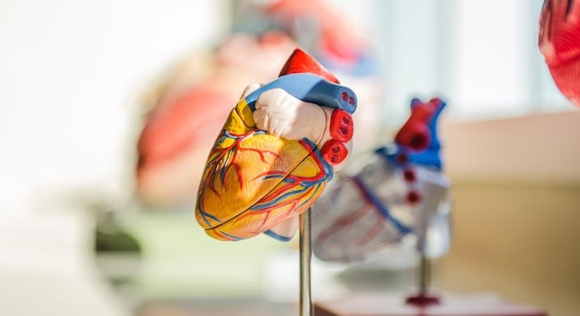 Lung, heart stem cell study can pave way for new Covid treatments Lung, heart stem cell study can pave way for new Covid treatments