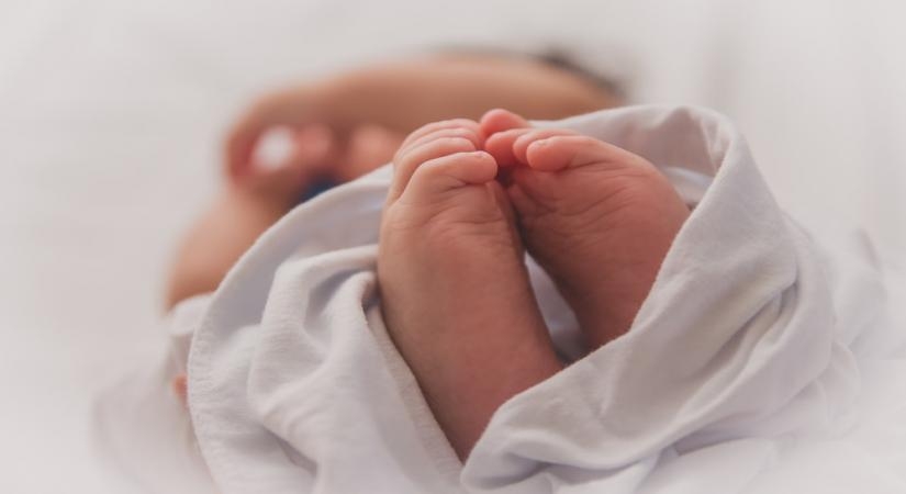 'Graveyard' of illegally-aborted foetuses found in Maha's Wardha 'Graveyard' of illegally-aborted foetuses found in Maha's Wardha