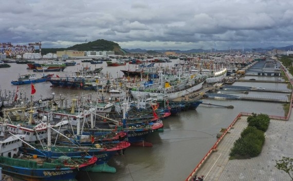 China concludes special action enforcing maritime summer fishing ban China concludes special action enforcing maritime summer fishing ban